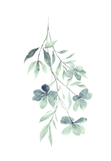 floraldaun