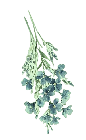 floraldaun